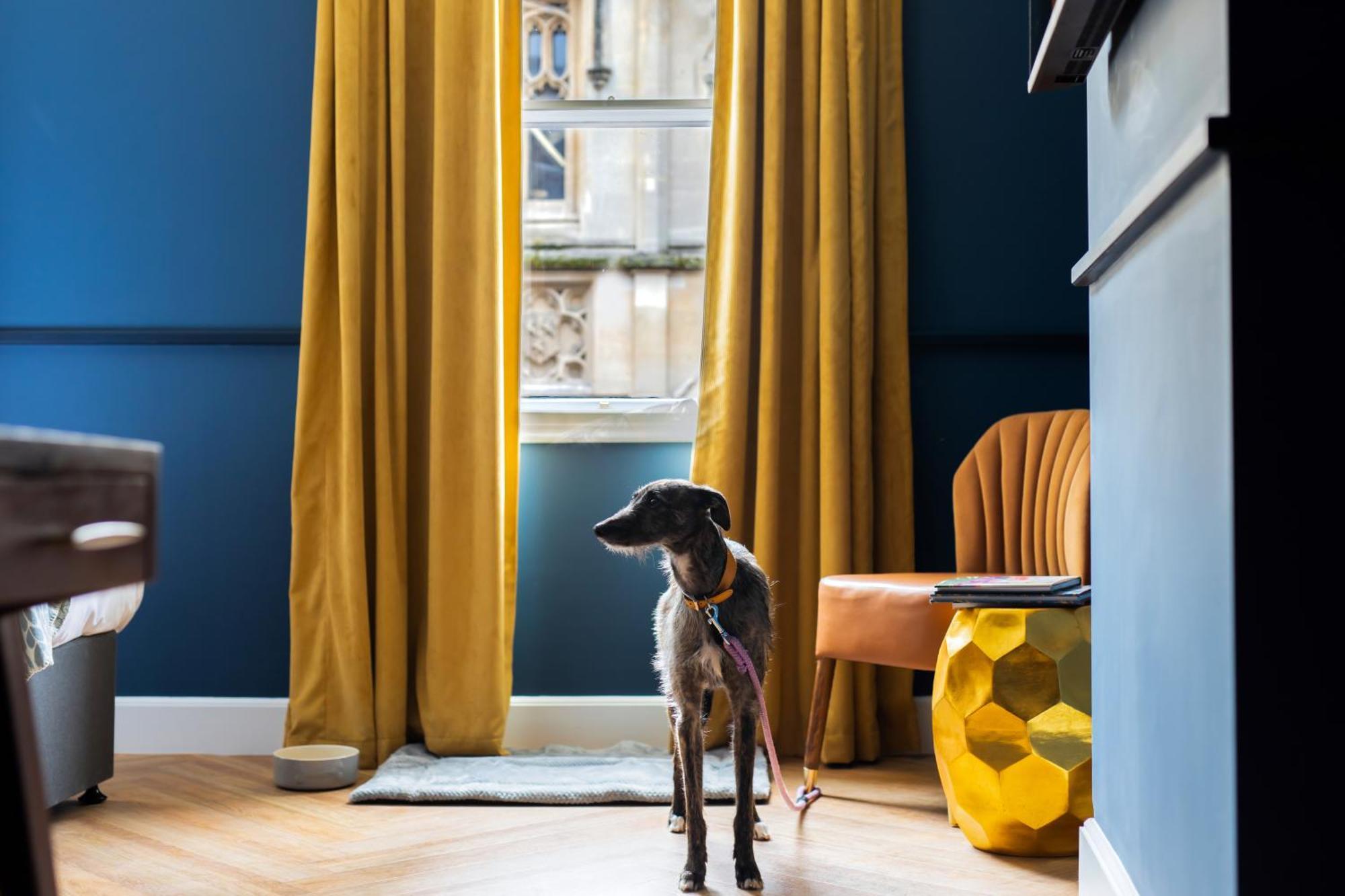 Hort'S Townhouse Hotell Bristol Eksteriør bilde